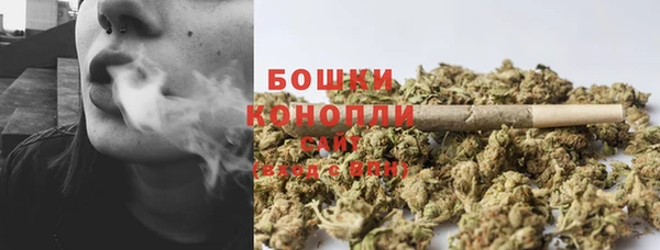 гидропоника Шадринск
