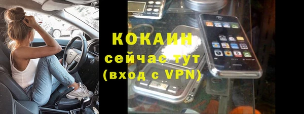винт Гусь-Хрустальный