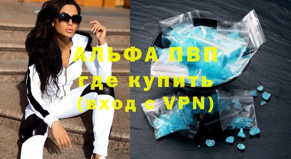 спиды Горняк
