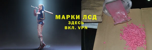 спиды Горняк