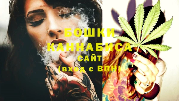 соль ск Михайлов