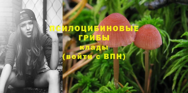 винт Гусь-Хрустальный