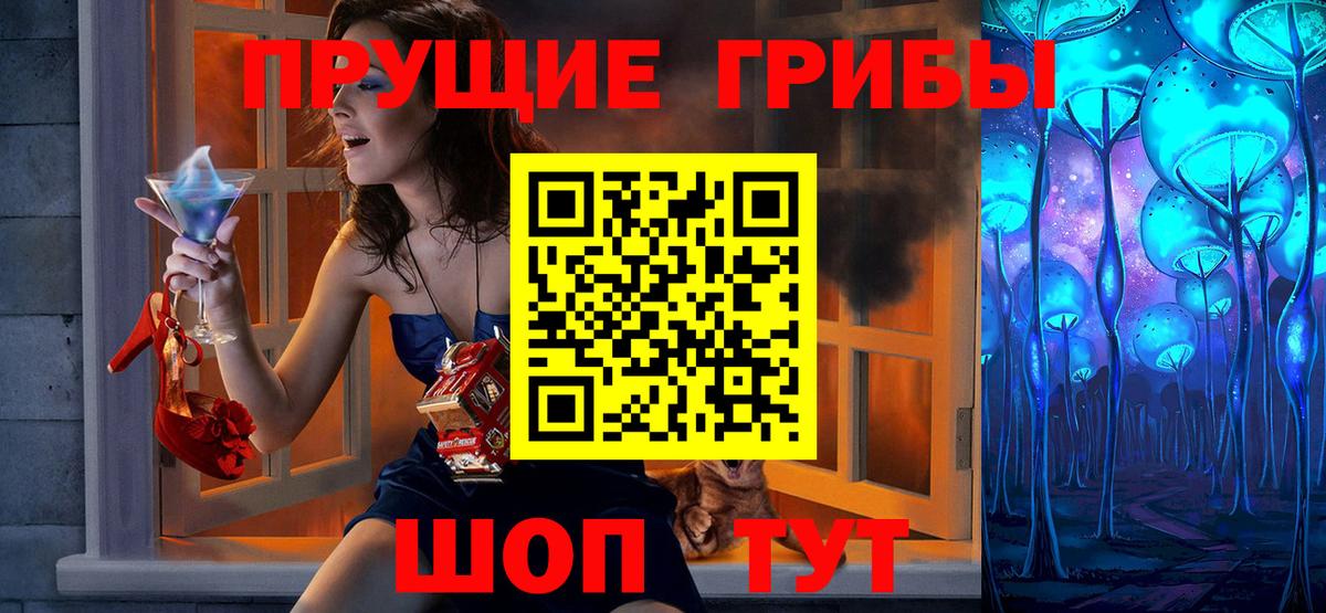 Галлюциногенные грибы Psilocybine cubensis Нерюнгри