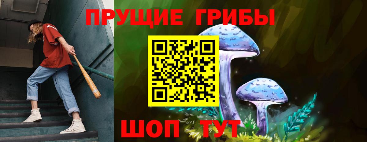 Псилоцибиновые грибы прущие грибы Нерюнгри